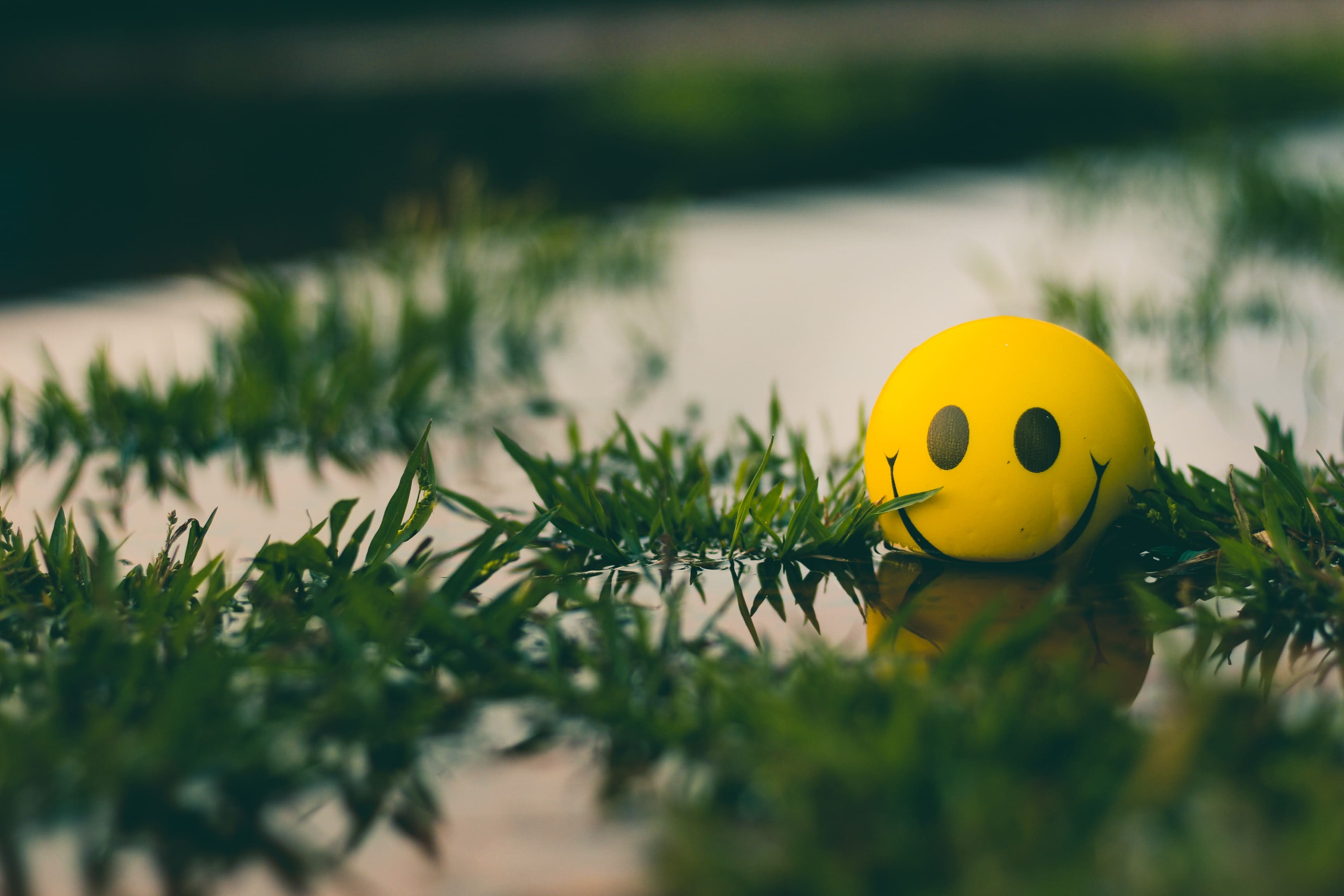 uma bola amarela com um rosto sorridente sentado na grama